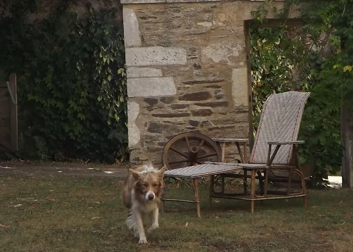 Domaine De Lalat - With En-suite Bathrooms With Garden Views Bed and breakfast Montembœuf